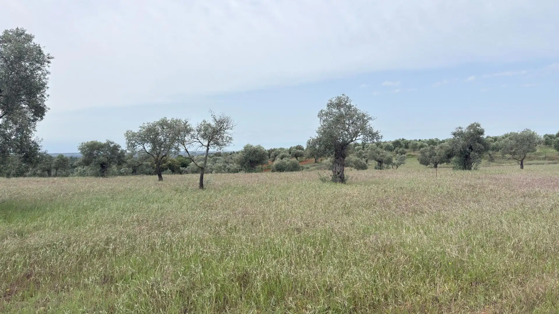 Terreni e lotti in vendita a Beas, imagen 13