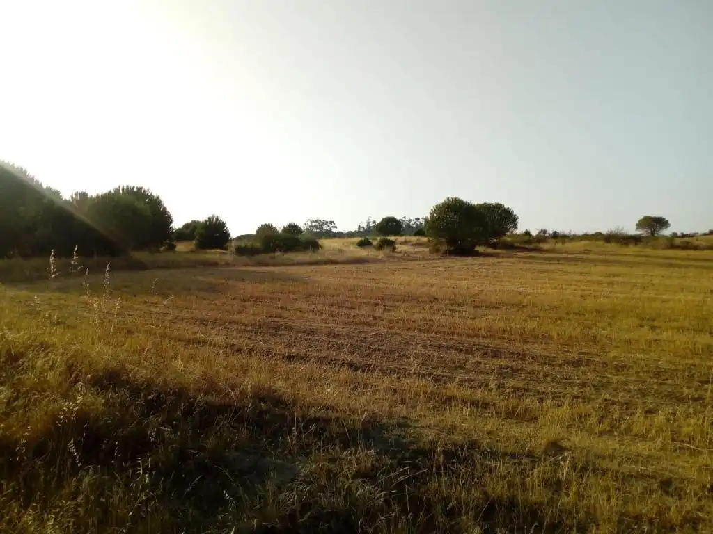 Land for sale in Lepe