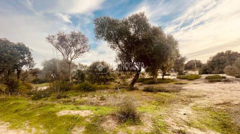 Photo 5 of Industrial land for sale in Barbate ciudad, Cádiz