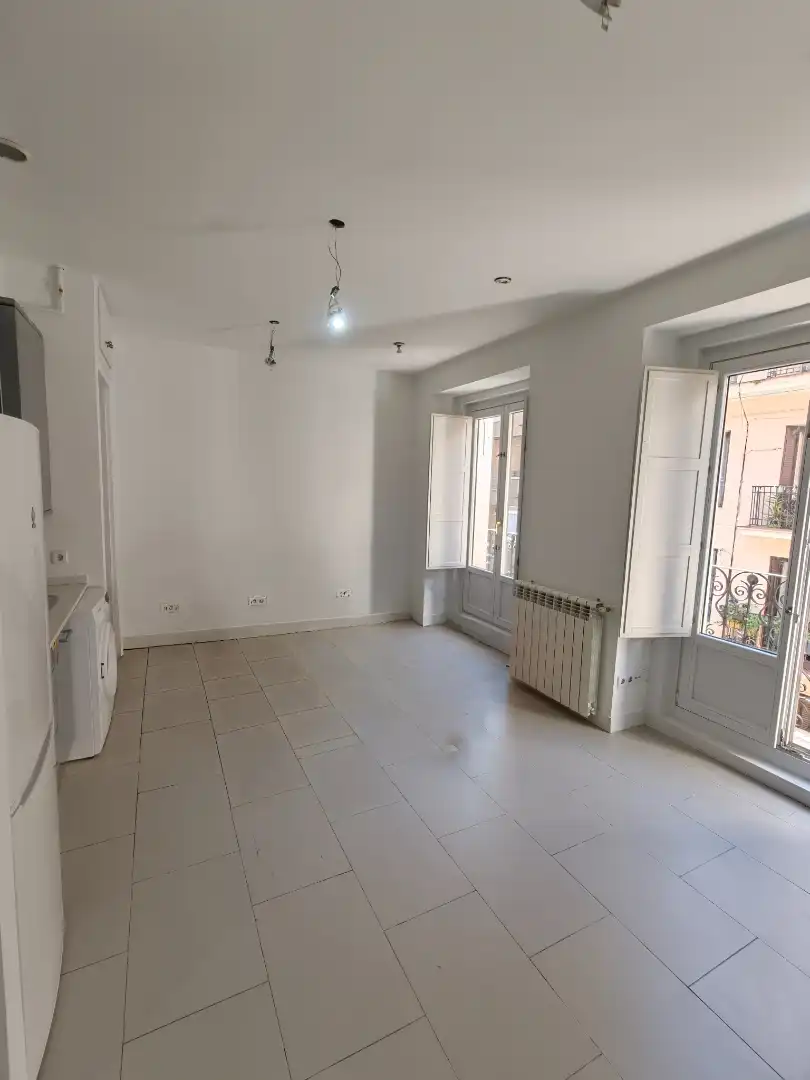 Sala d'estar de Estudi de lloguer en Moncloa - Aravaca