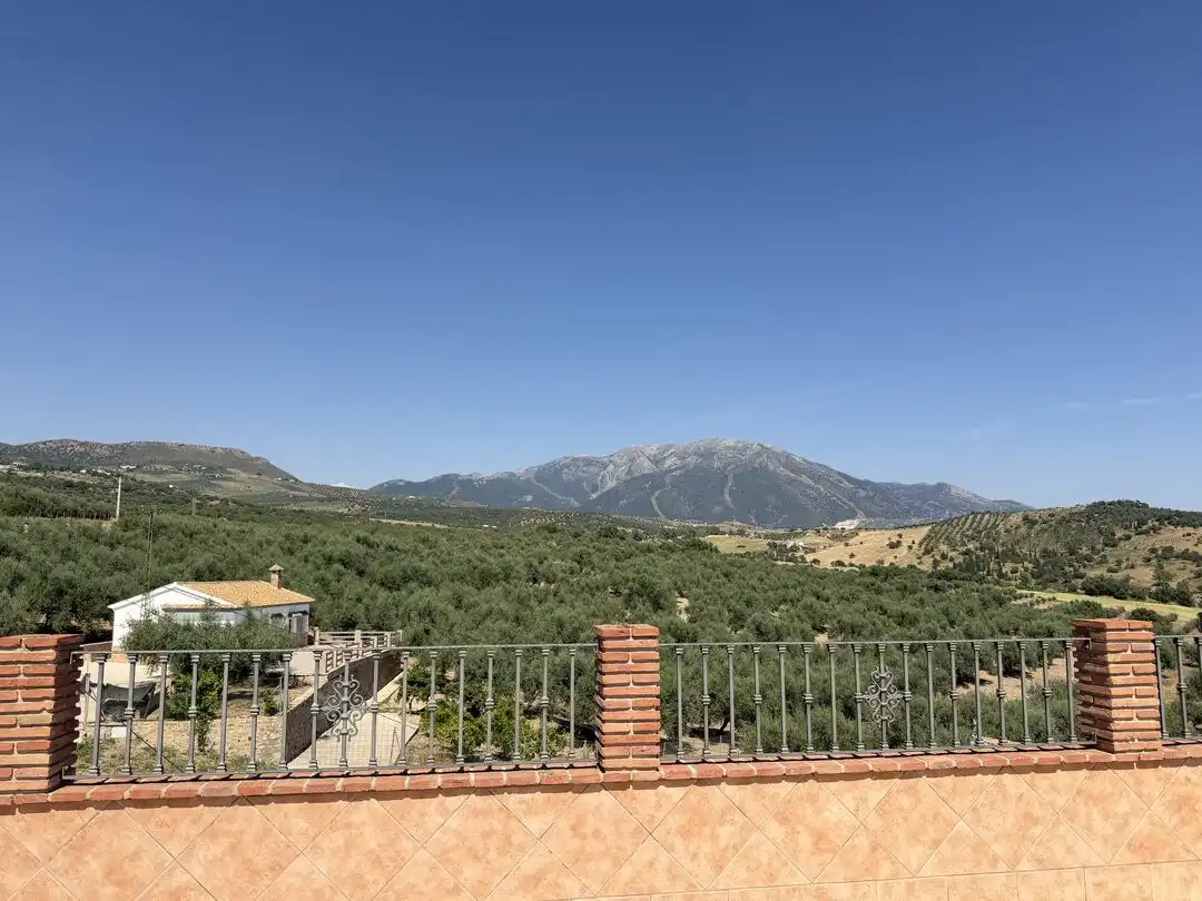 Vista exterior de Casa o chalet de alquiler en Periana con Terraza y Piscina