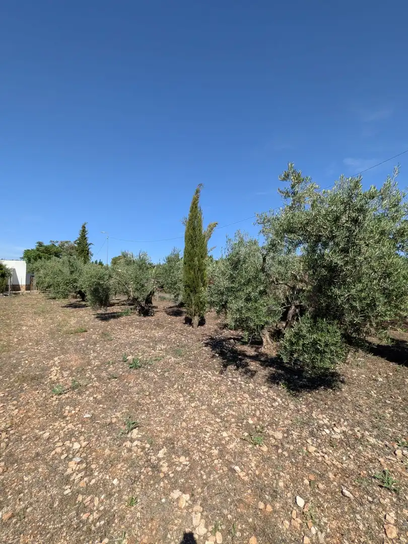 Residencial en venta en Ciudad Real
