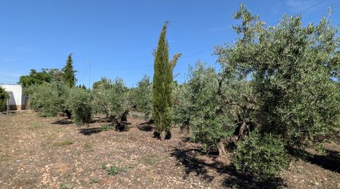 Foto 5 de Residencial en venta en La Poblachuela, La Poblachuela, Ciudad Real Capital