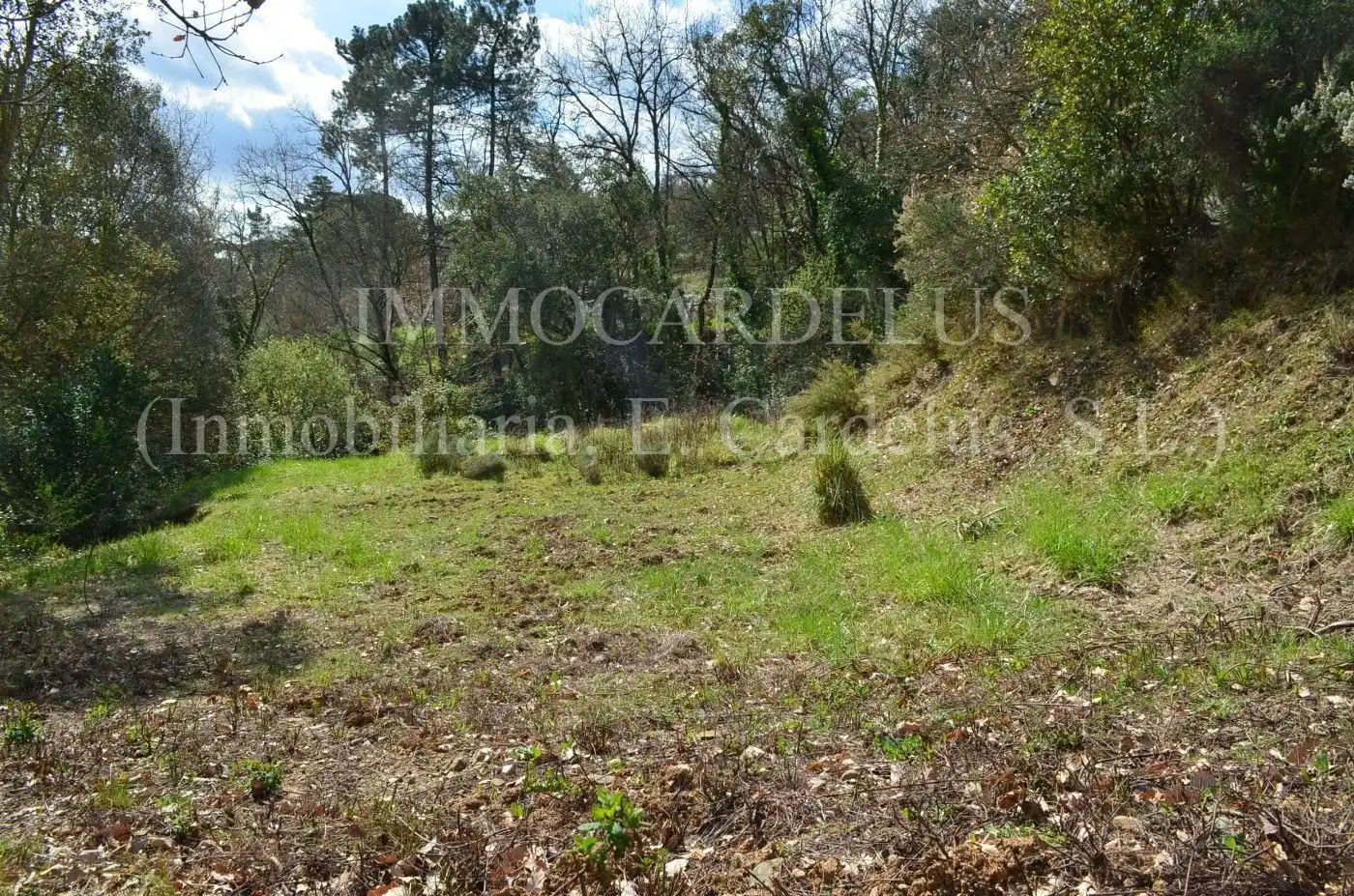 Terreny residencial en venda a Riells i Viabrea, imagen 14