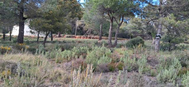 Terreno residencial en Venta en Calle Escultor Llimona en Sant Llorenç Savall