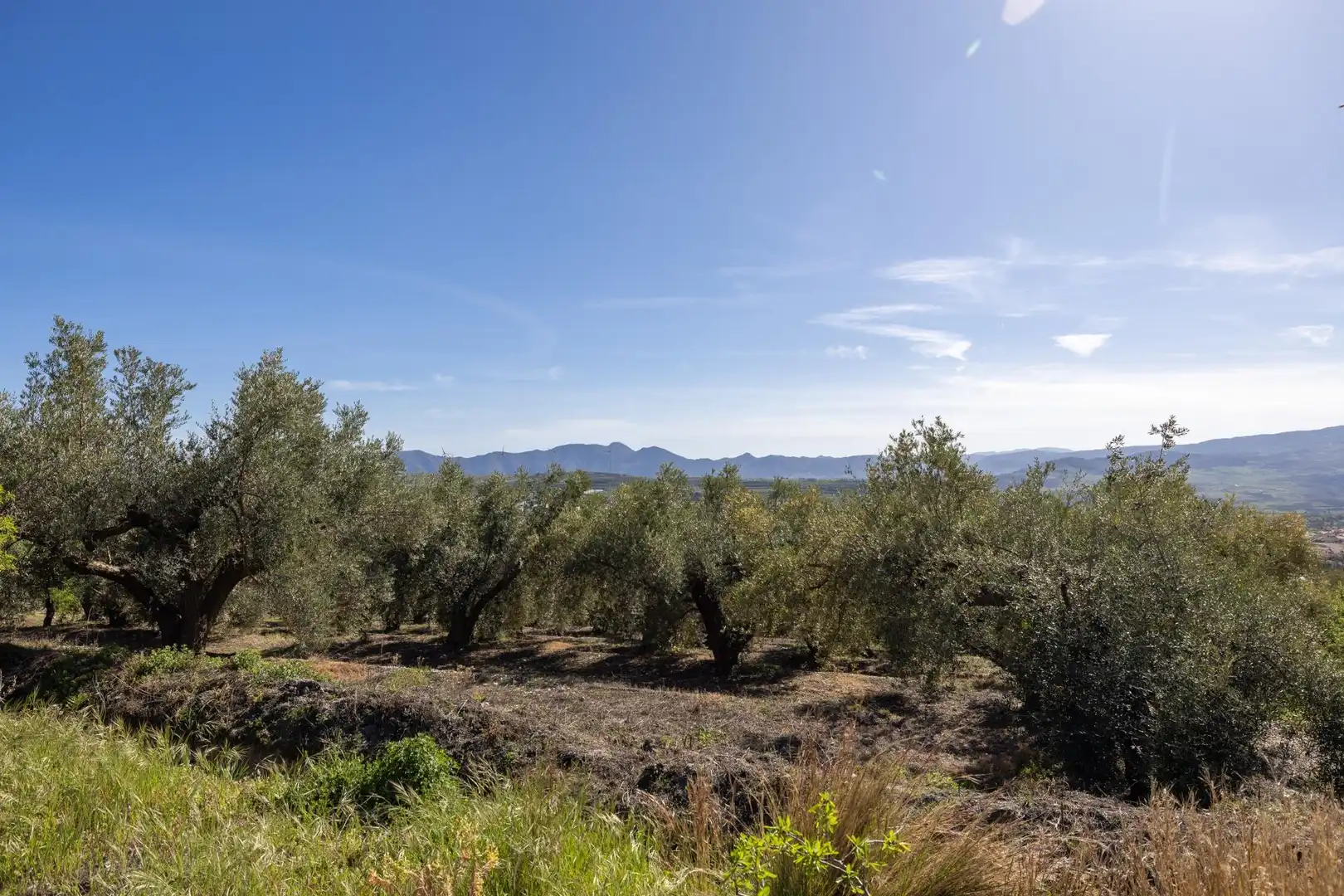Terreni e lotti in vendita a Dúrcal, imagen 25