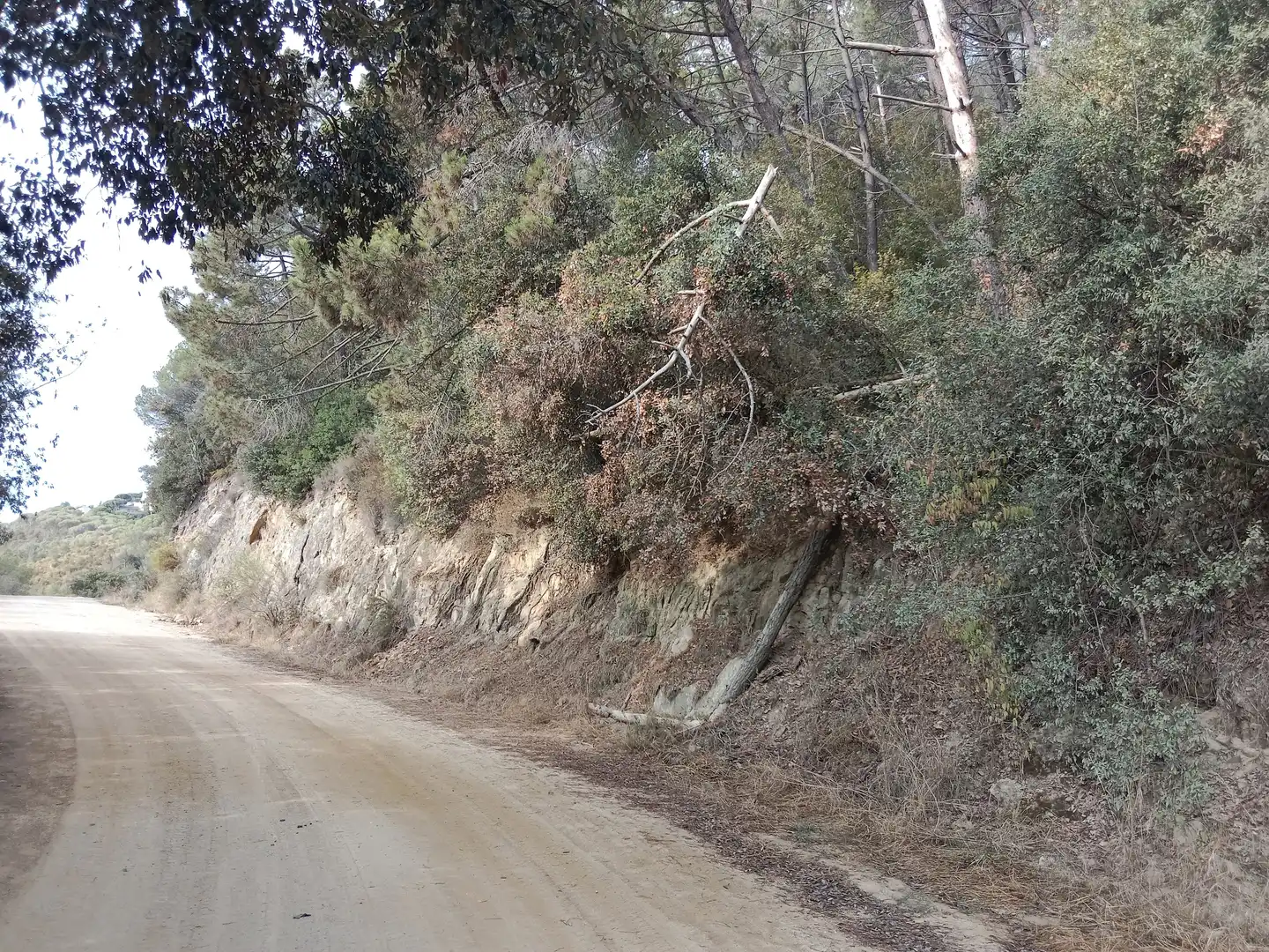 Terrenos y solares en venta en Sant Cebrià de Vallalta, imagen 7