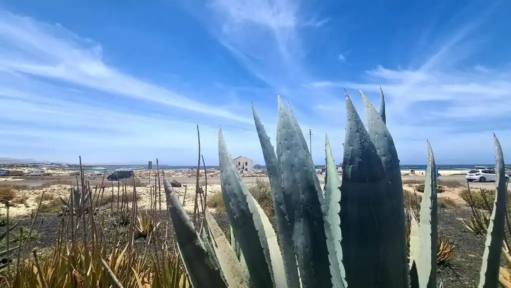 Vista exterior de Casa o xalet en venda en La Oliva amb Jardí privat i Piscina comunitària