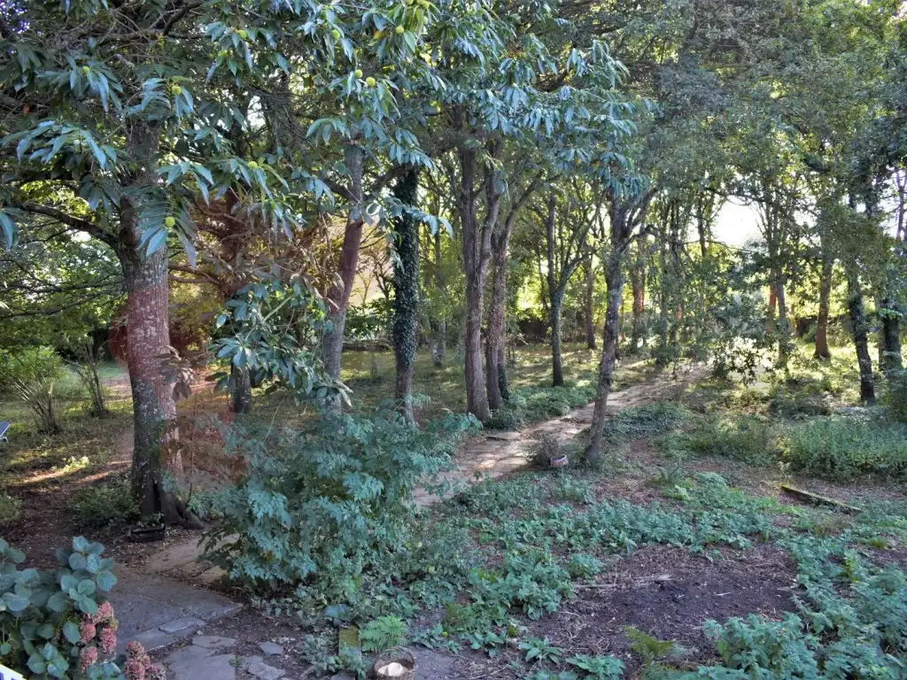 Casa o xalet en venda a Rábade