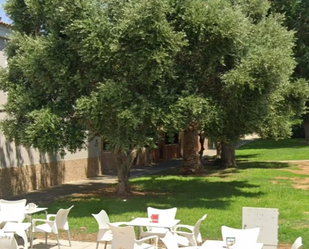 Garden of Flat for sale in Montequinto