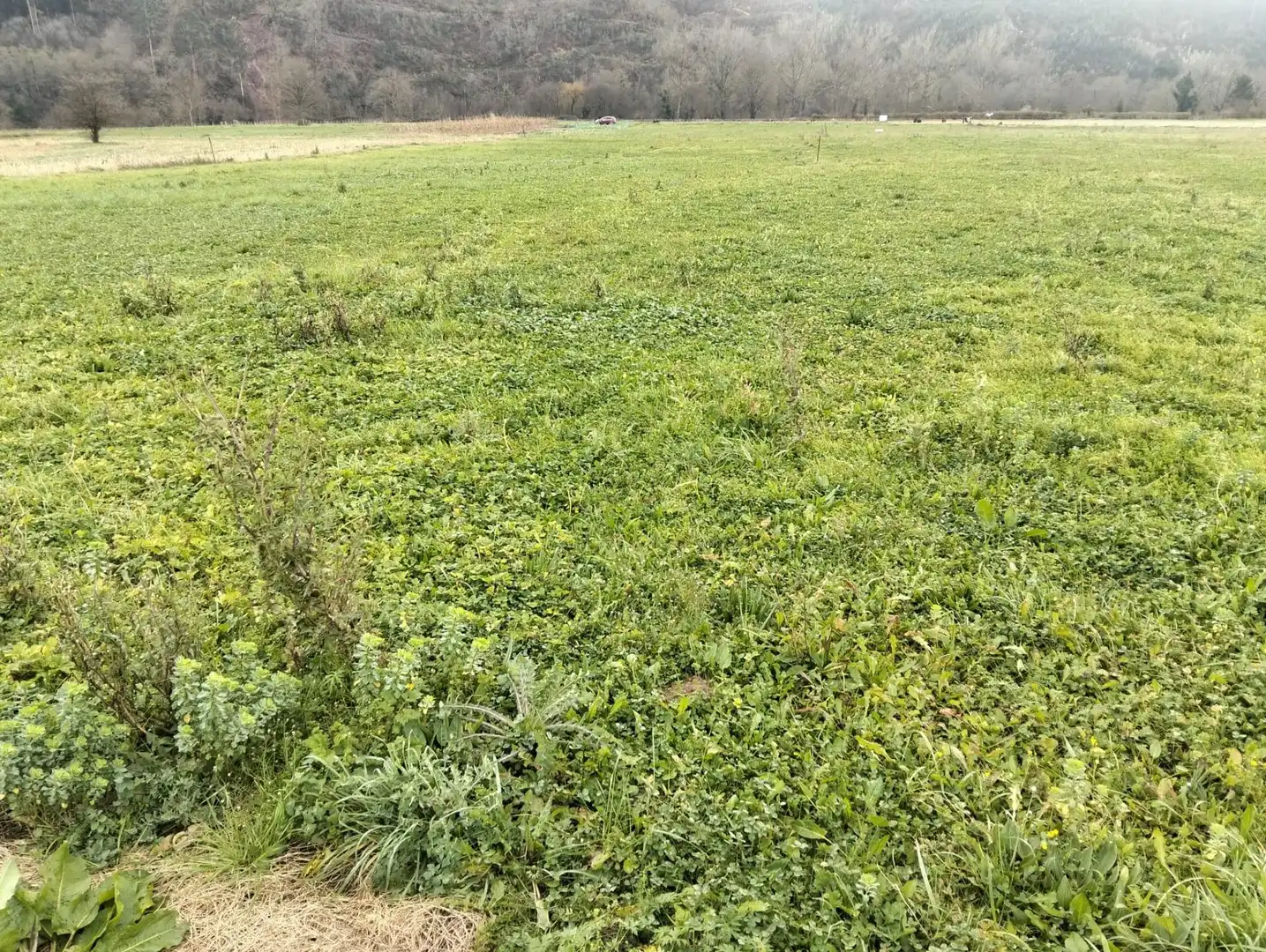 Terreny residencial en venda a Cabezón de la Sal, imagen 7