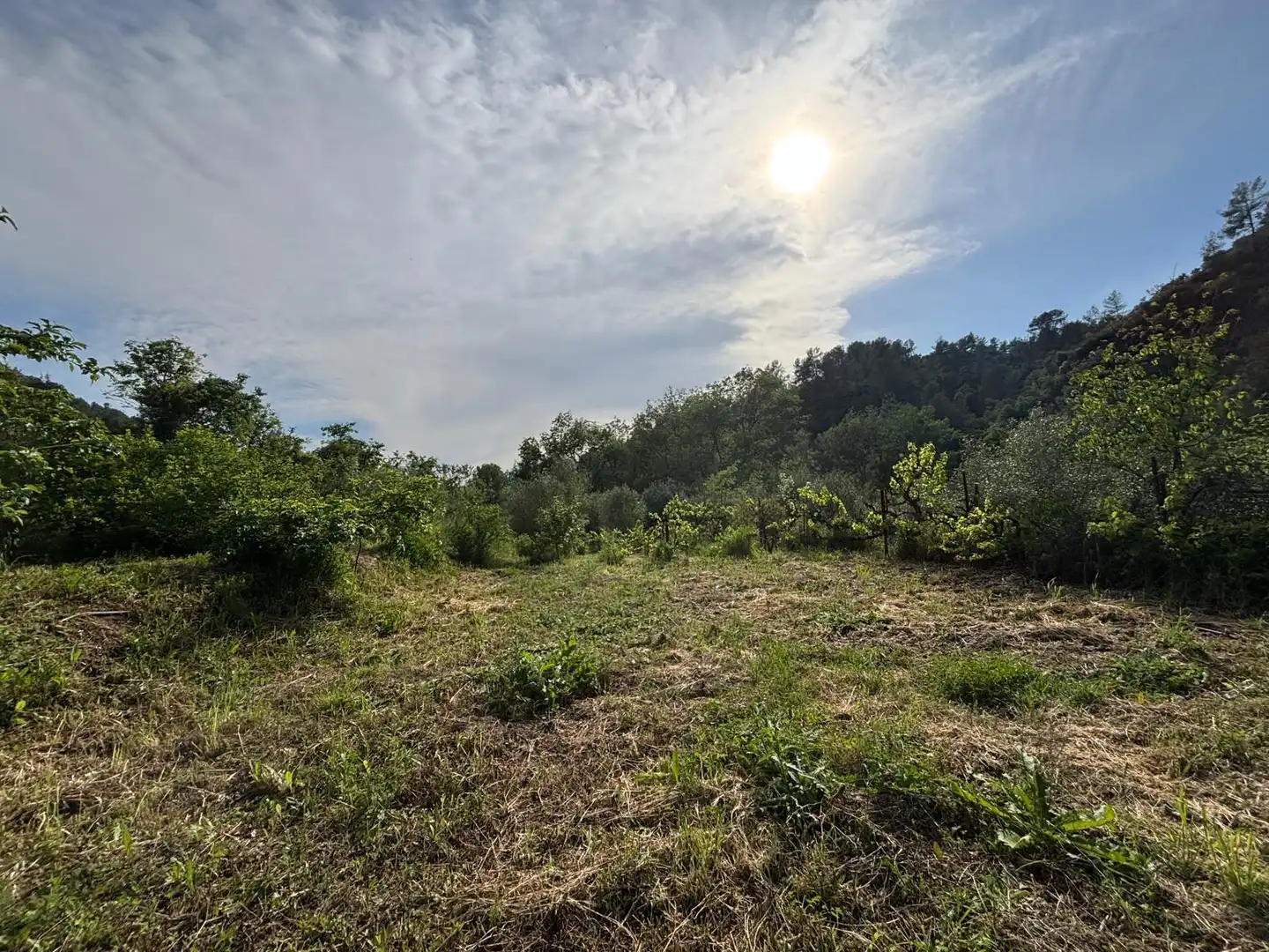 Land for sale in El Masroig