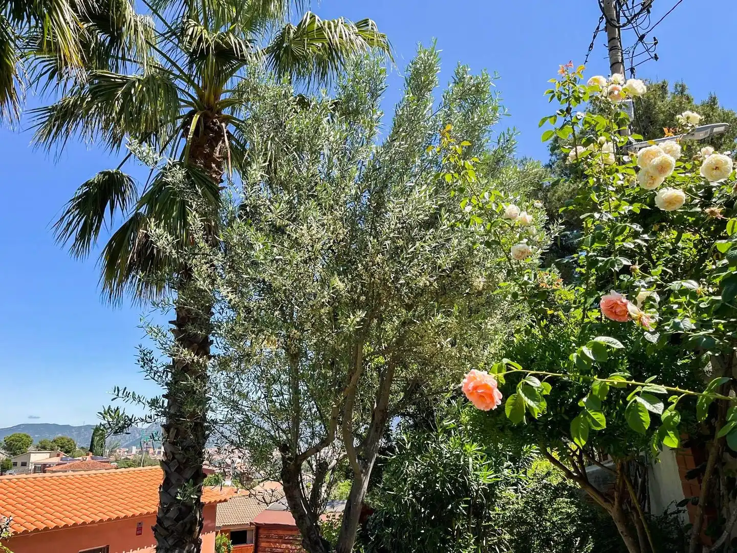 Jardí de Casa o xalet en venda en Esparreguera amb Calefacció, Jardí privat i Terrassa