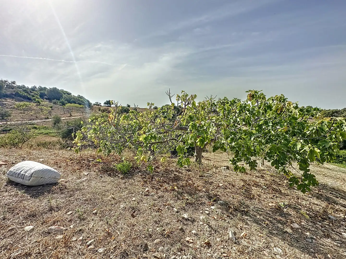 Casa con piscina in vendita a Estepona Pueblo, imagen 42