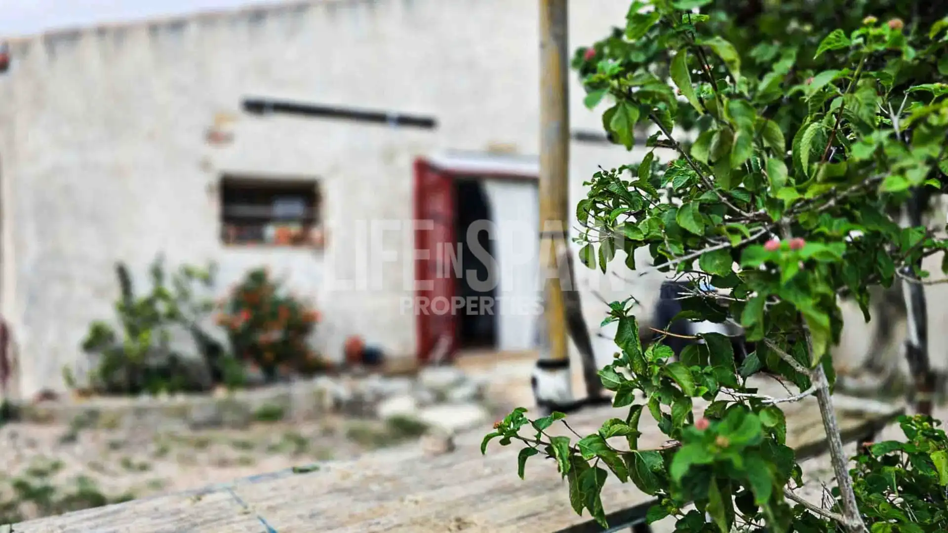 Finca rústica en venta en Bítem