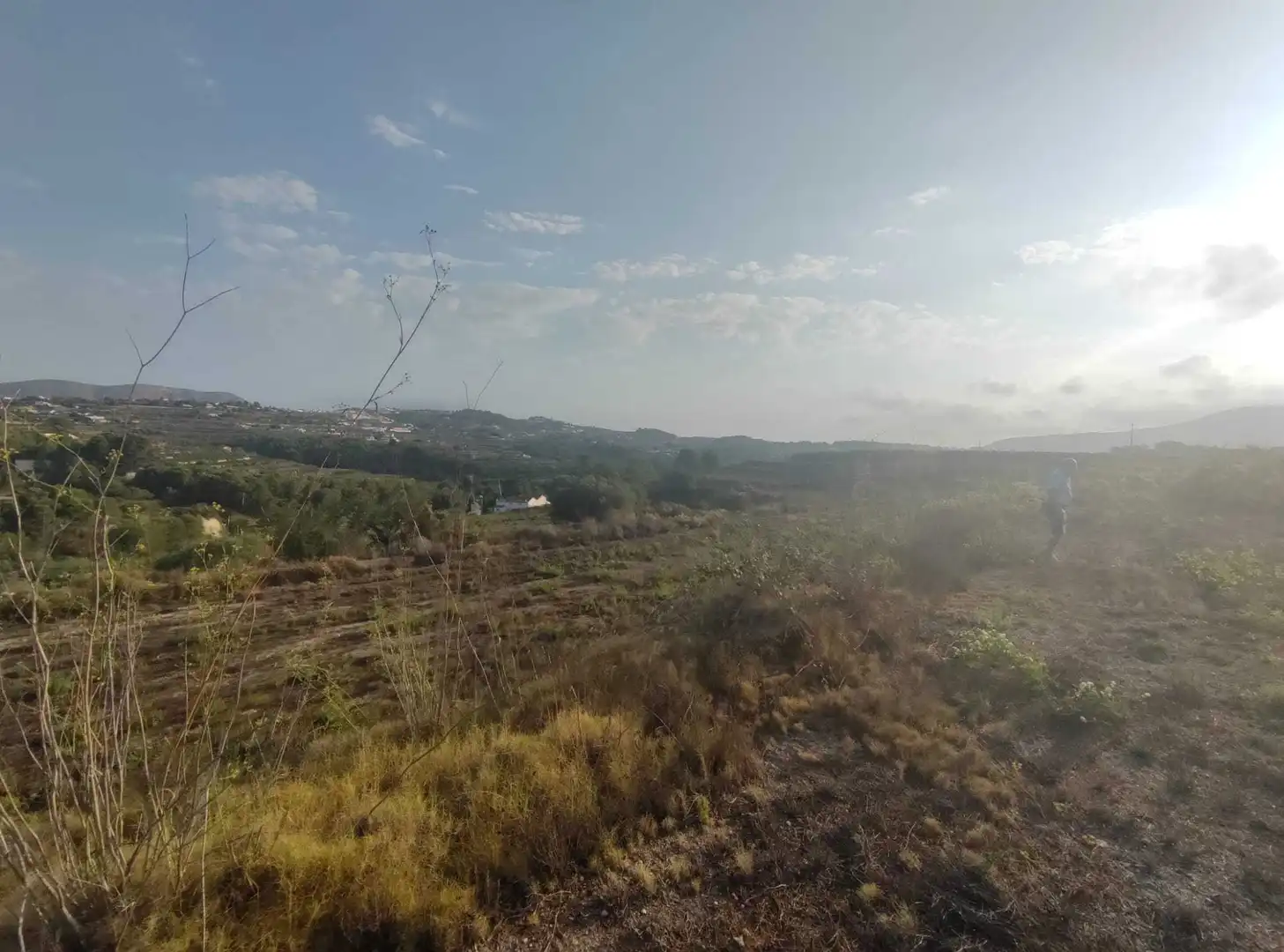 Terreny residencial en venda a Teulada, imagen 5