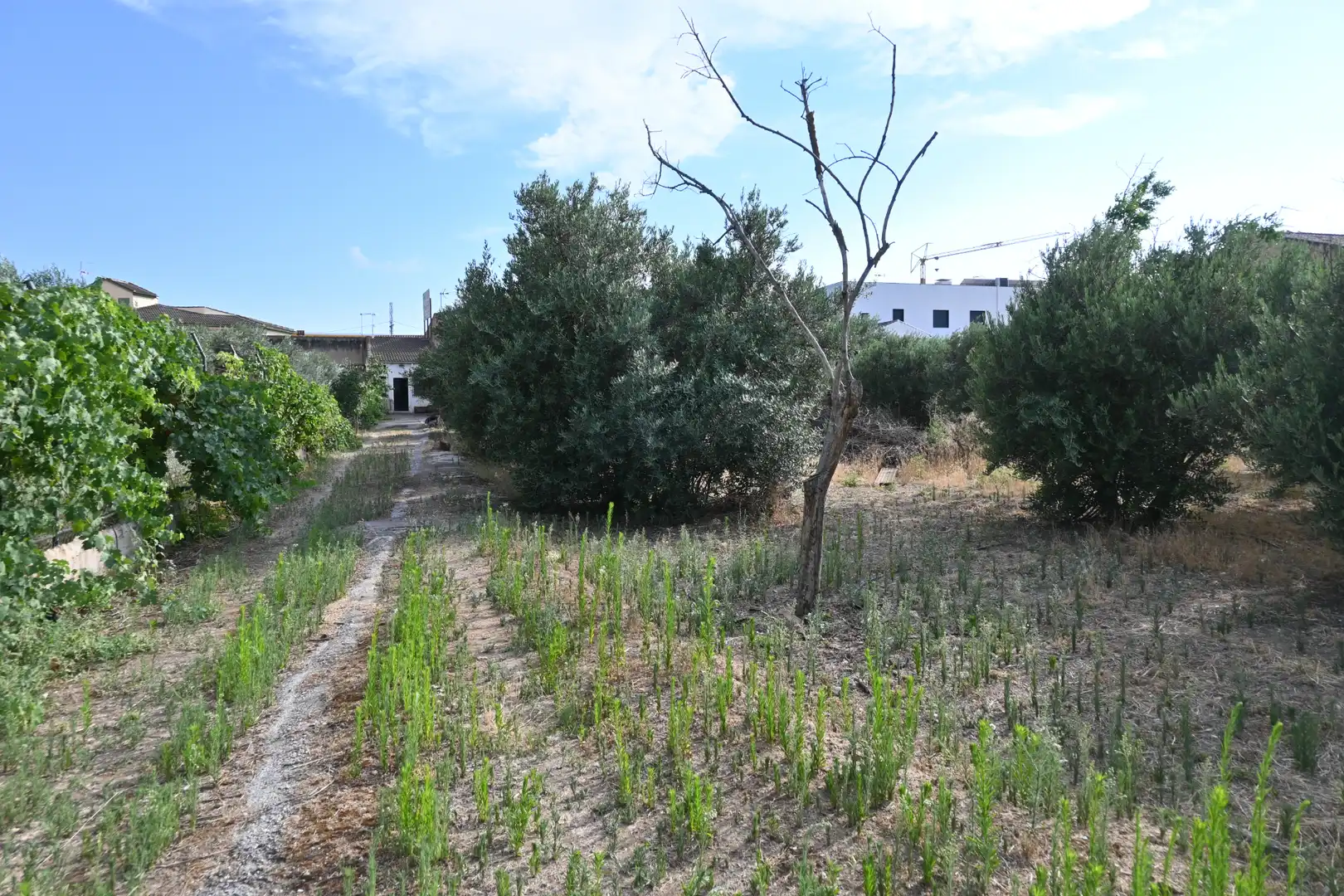 Residencial en venta en Alhendín