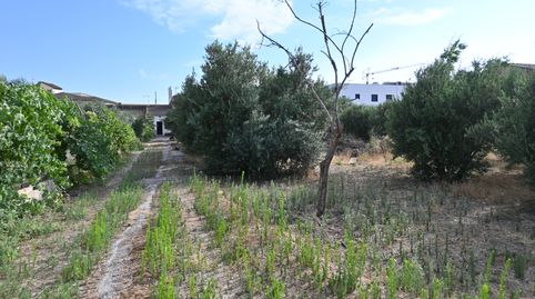 Foto 2 de Residencial en venda a Avenida Circunvalación, 5, Carretera de Granada - La Alcazaba, Alhendín