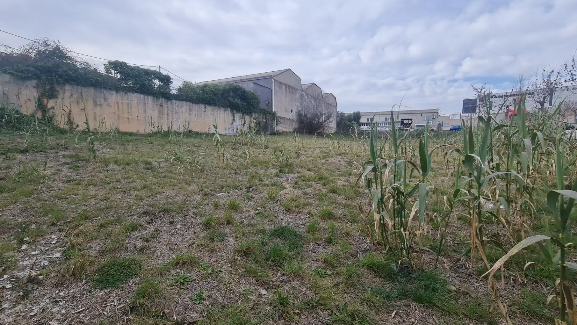 Terreno industriale in vendita a Carrer la Pedrosa 67