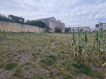 Industriegrundstück zum Verkauf in Carrer la Pedrosa 67