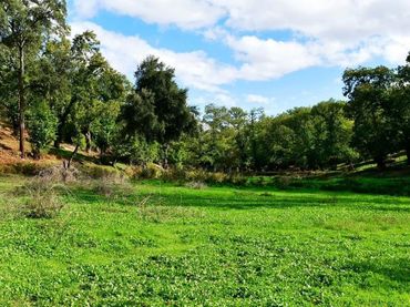 Terreno rústico en venta en Galaroza