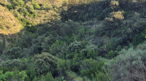 Finca en Bayarque ( Almería)., immagine 5