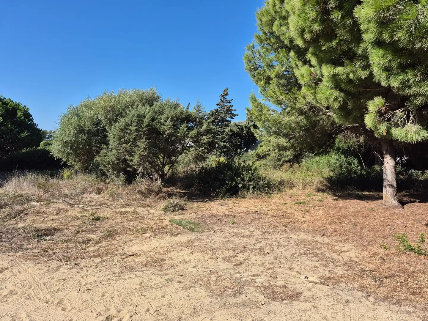 Terreno rustico in vendita a Los Caños de Meca, imagen 2