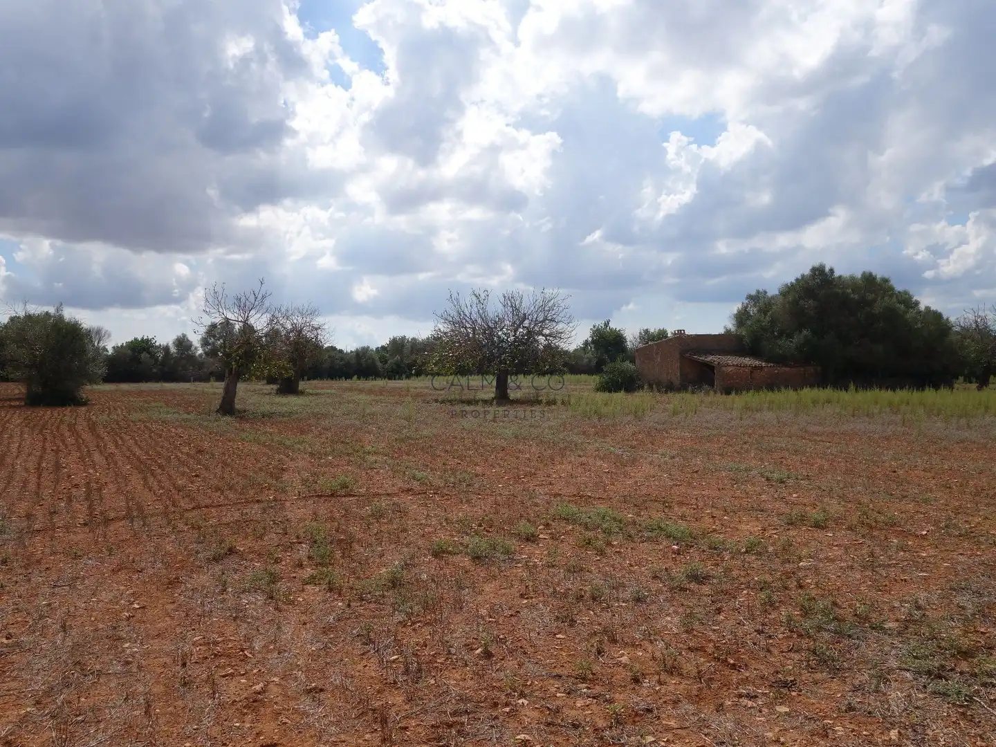 Residential land for sale in Felanitx Poble, imagen 6