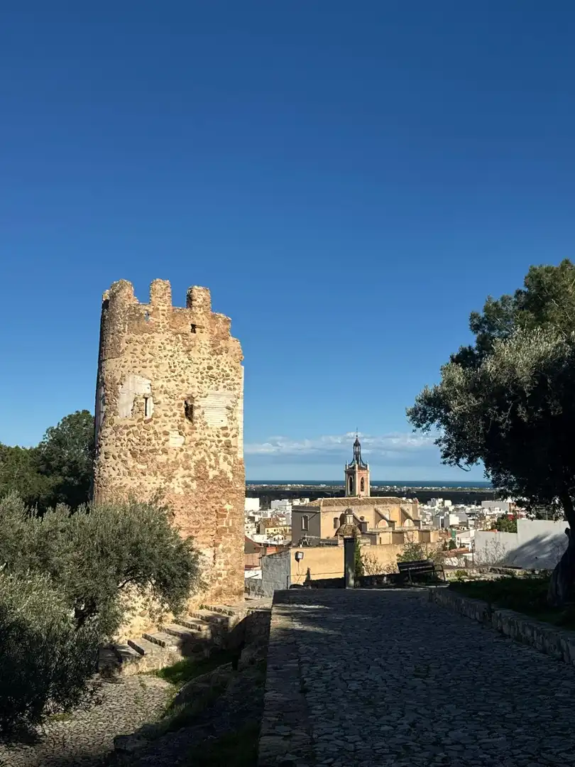 Vista exterior de Casa adosada en venda en Sagunto / Sagunt