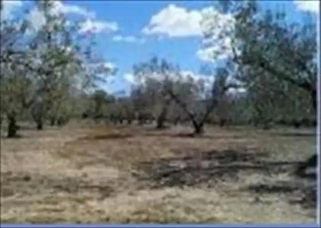 Terreny rústic en venda a Beniatjar, imagen 3
