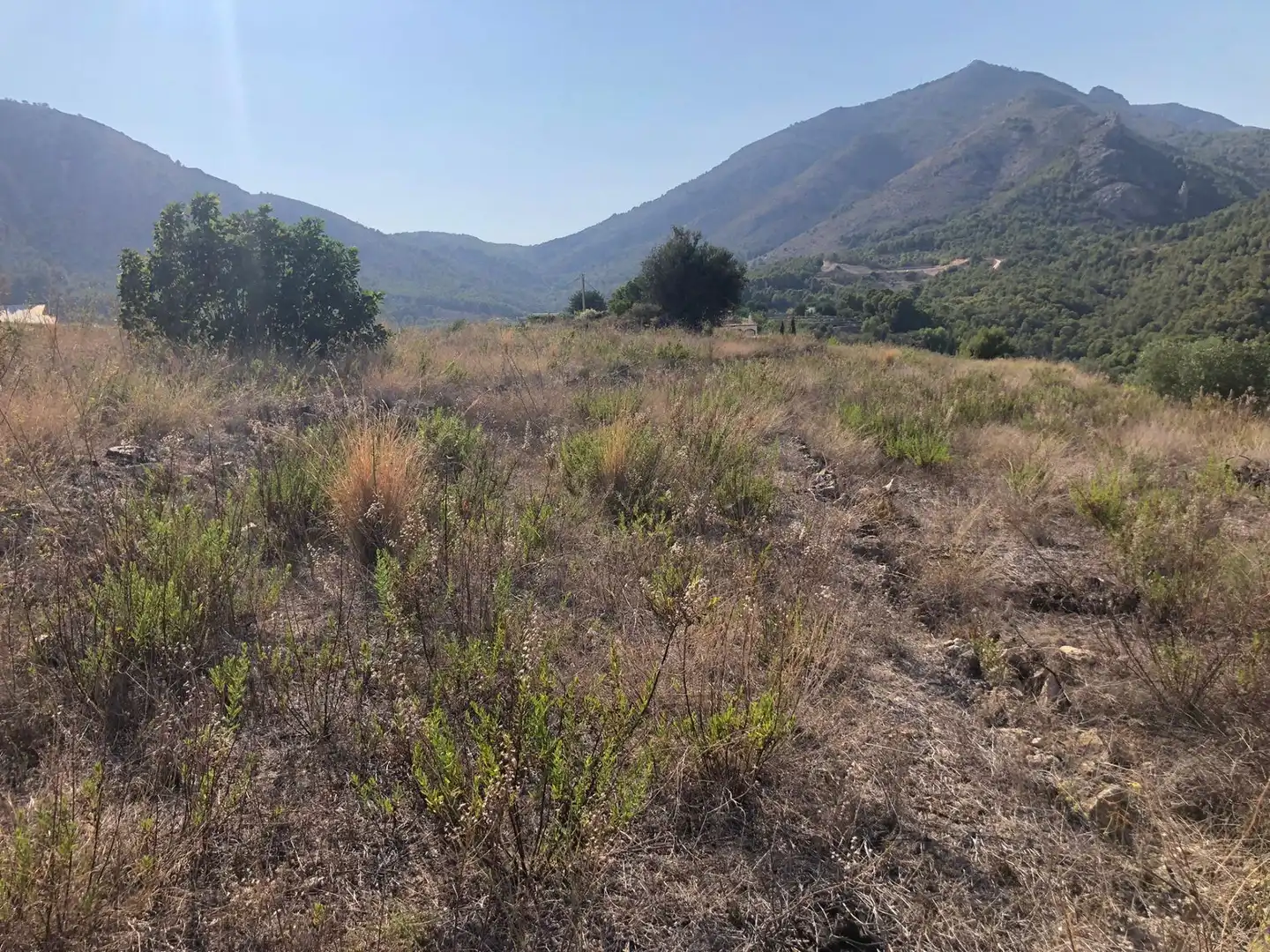 Land for sale in Bolulla