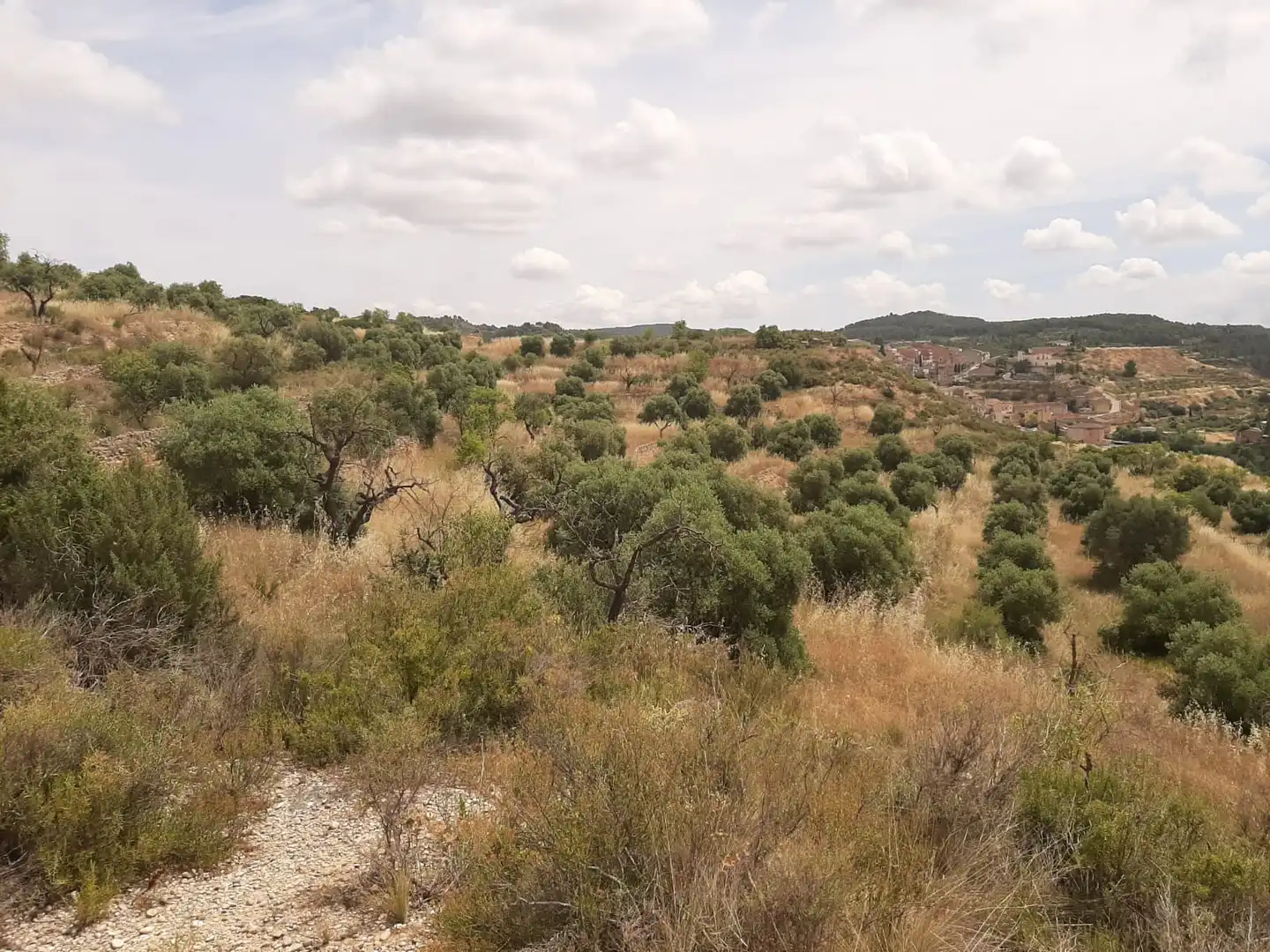 Casa adosada en venda en Cervià de Les Garrigues amb Jardí privat, Terrassa i Balcó