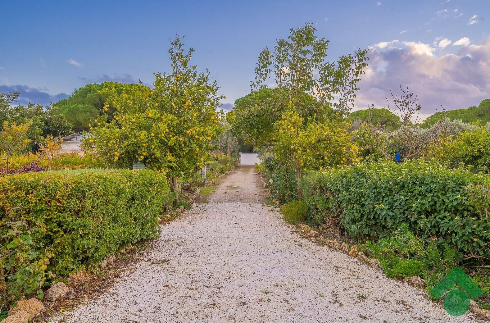 Jardí de Casa o xalet en venda en Puerto Real amb Aire condicionat, Calefacció i Piscina