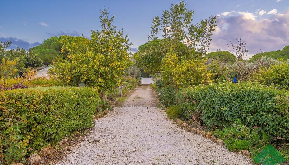 Photo 1 of House or chalet for sale in Centro, Cádiz