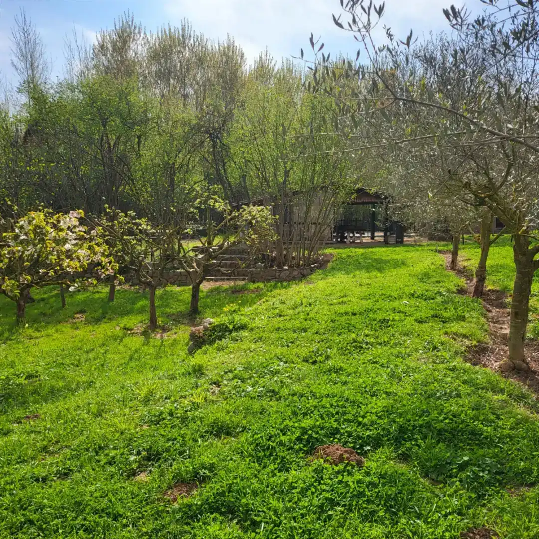 Finca rústica en venda a Paseo del Soto, 4, Hormilleja