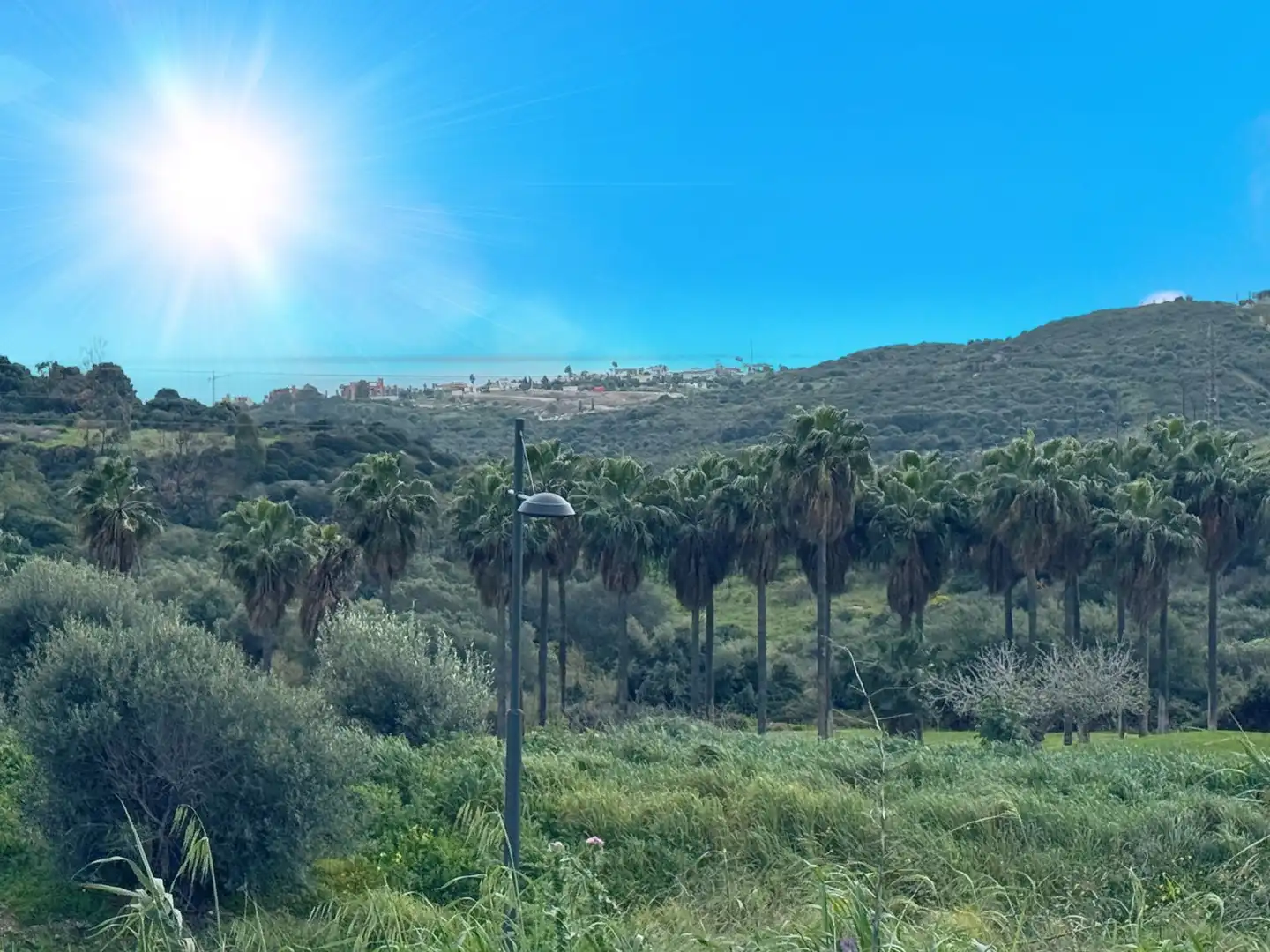 Vista exterior de Residencial en venta en Estepona