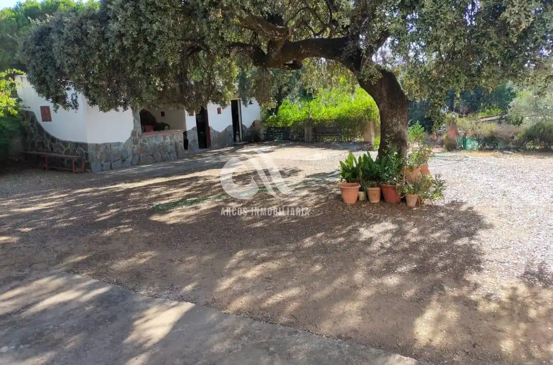 Houses for sale in Alcolea