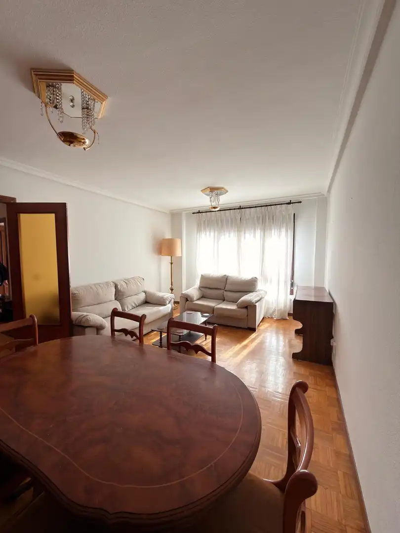 Sala d'estar de Pis de lloguer en Oviedo  amb Calefacció i Moblat