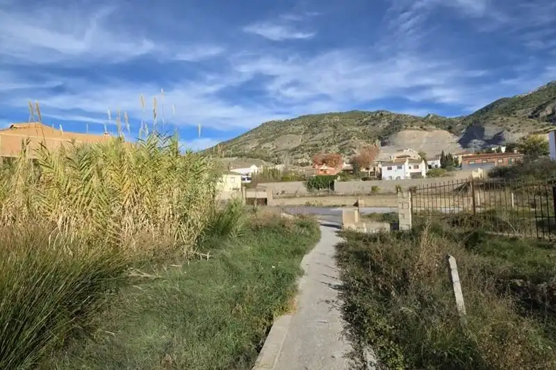 Terrain rustique à vendre à Calle Maestra Encarnación Villaverde, imagen 11