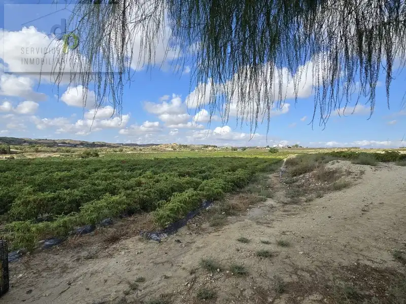 Rustikales Grundstück zum Verkauf in Camí del Barbunyo 81, imagen 8
