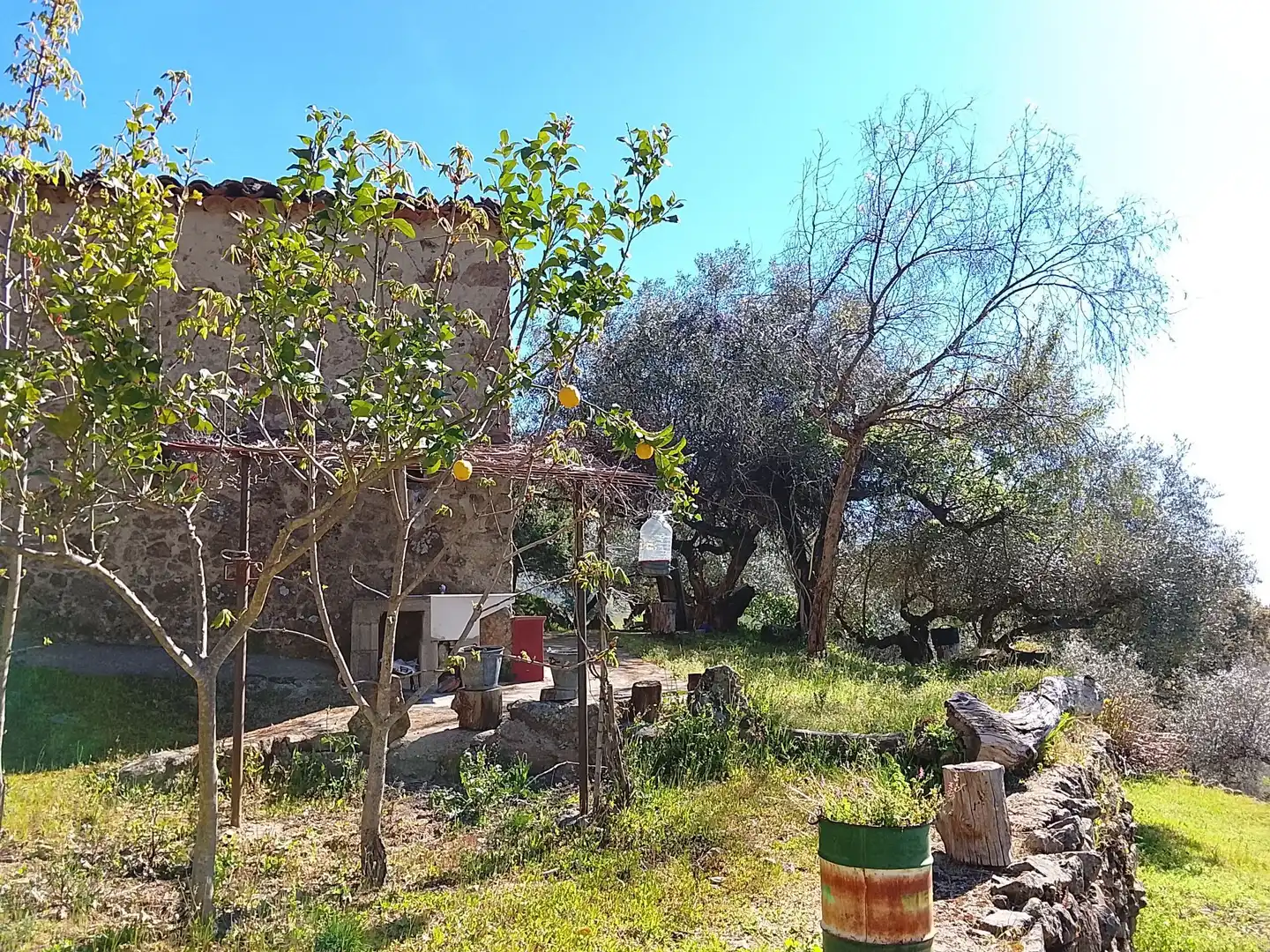 Terreni e lotti in vendita a Candeleda, imagen 62