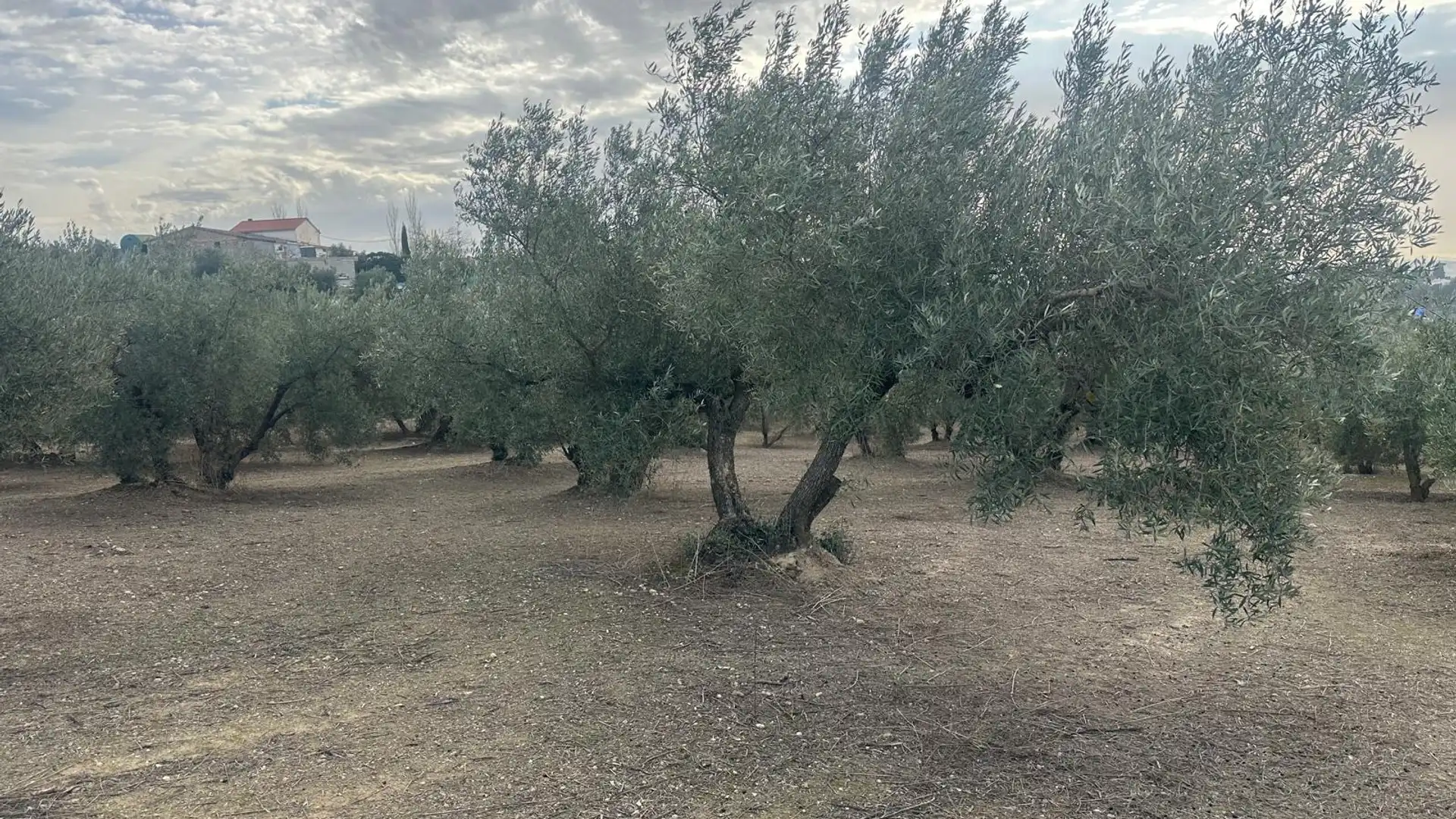 Terreno en venta en Peligros