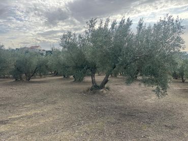 Terrain rustique à vendre à Peligros