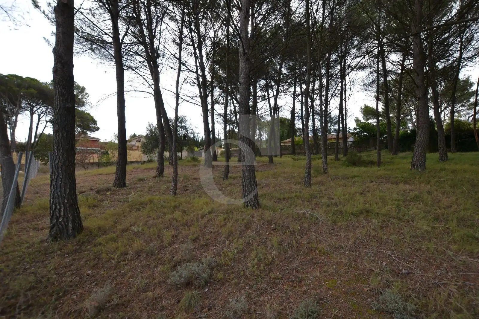 Rural land for sale in Venta Quemada, imagen 7
