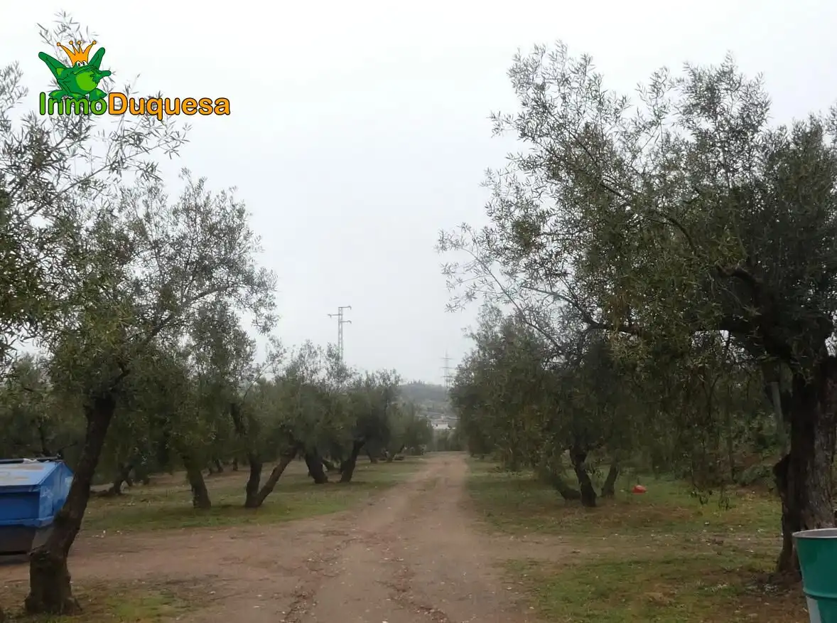 Casa rustica in vendita a Peligros, imagen 18