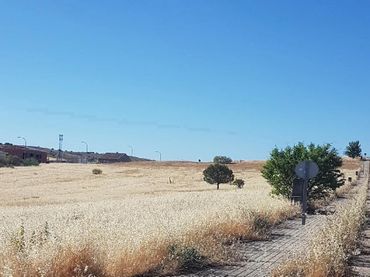 Terreno residenziale in vendita a Travesía Molino