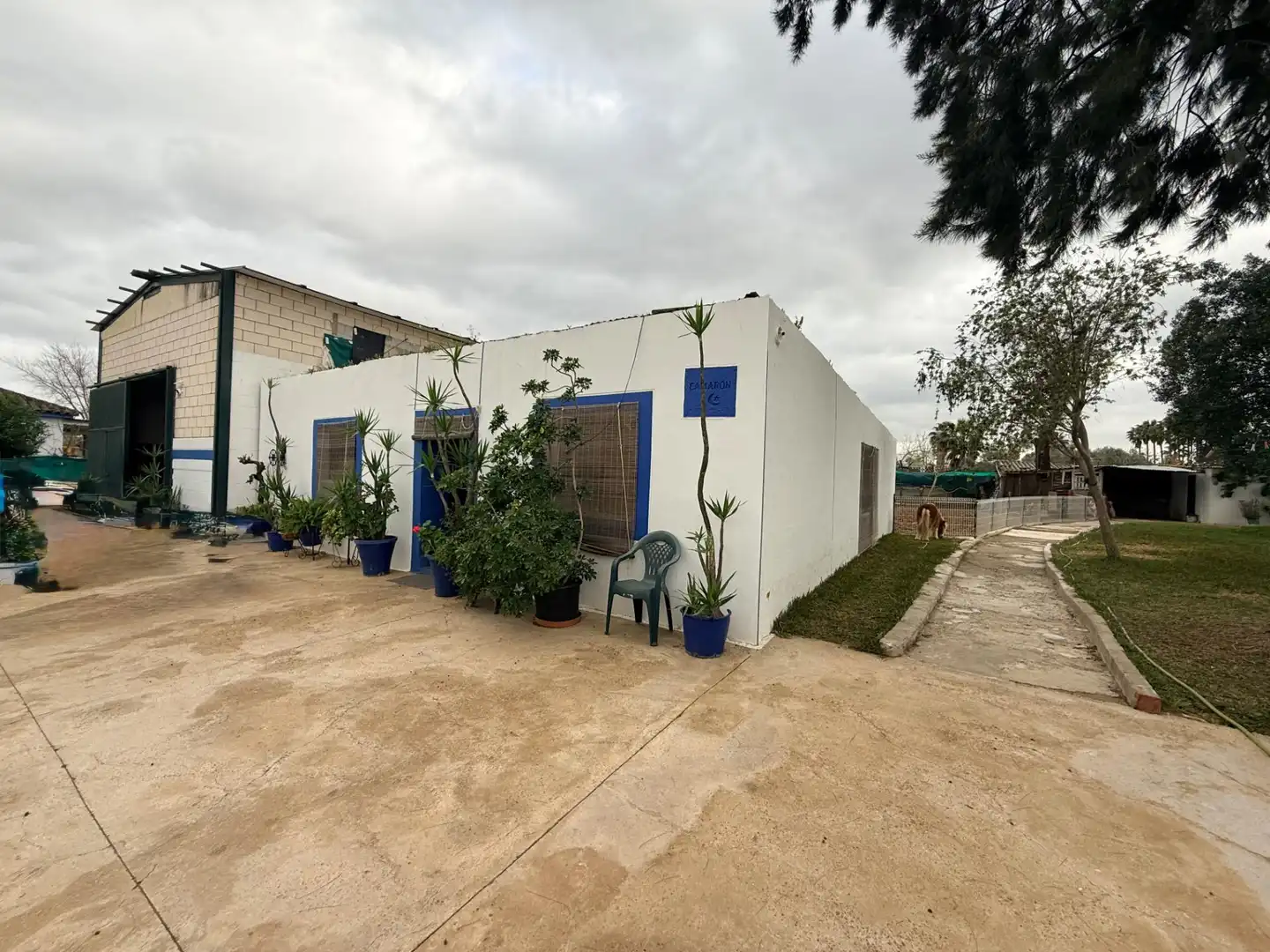 Vista exterior de Casa o chalet en venta en Carmona con Aire acondicionado, Jardín privado y Trastero