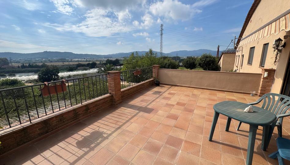 Foto 1 de Finca rústica en venda a Avinguda Sant Daniel, 43, Mas Mora - Sant Daniel, Barcelona