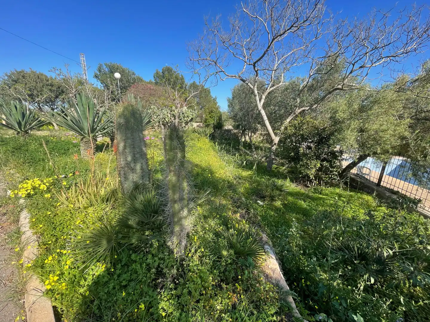 Chalet con jardín en venta en Carretera a Mazarrón 201, imagen 3