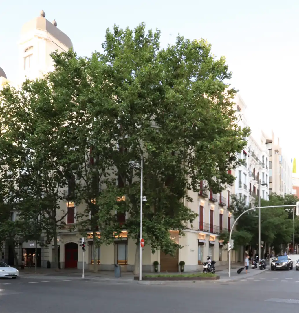 Appartement avec terrasse à vendre à Calle de Serrano, imagen 5
